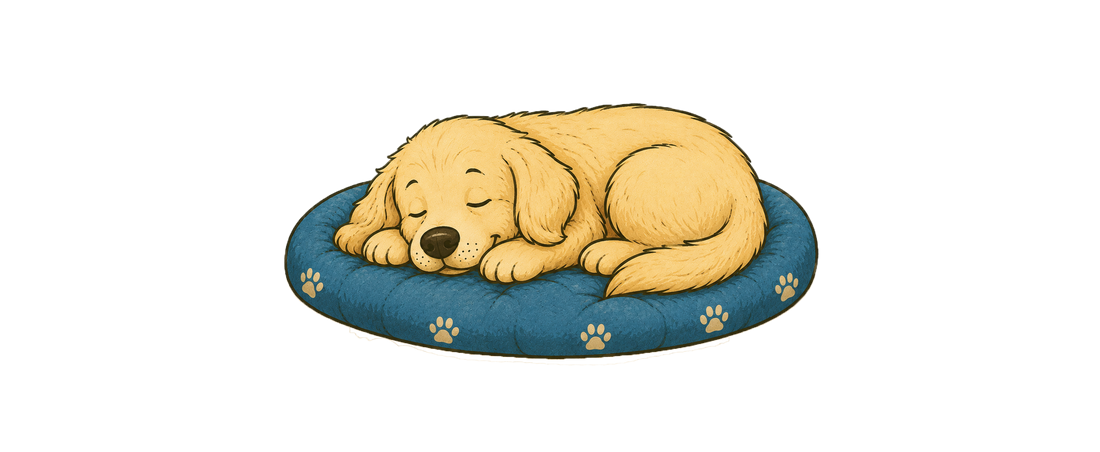 Dromen honden tijdens het slapen?