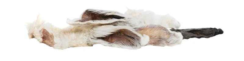 Bunny ears with hair