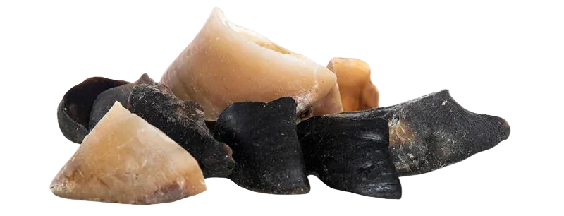 Calf hooves with sheep fat